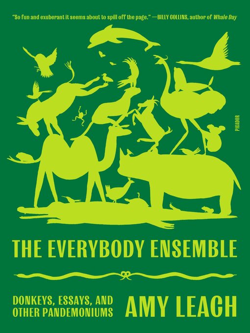 Title details for The Everybody Ensemble by Amy Leach - Wait list